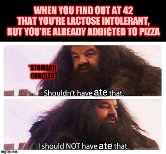 Should be going to bed, but I'm not... | WHEN YOU FIND OUT AT 42 THAT YOU'RE LACTOSE INTOLERANT, BUT YOU'RE ALREADY ADDICTED TO PIZZA; *STOMACH GURGLES; ate; ate | image tagged in narrow black strip background,hagrid shouldn't have said that,lactose intolerant,memes,pooping,pineapple pizza | made w/ Imgflip meme maker