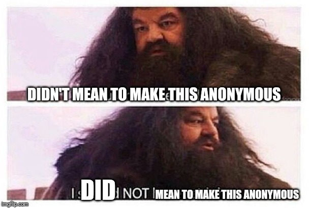 Hagrid shouldn't have said that | DIDN'T MEAN TO MAKE THIS ANONYMOUS MEAN TO MAKE THIS ANONYMOUS DID | image tagged in hagrid shouldn't have said that | made w/ Imgflip meme maker