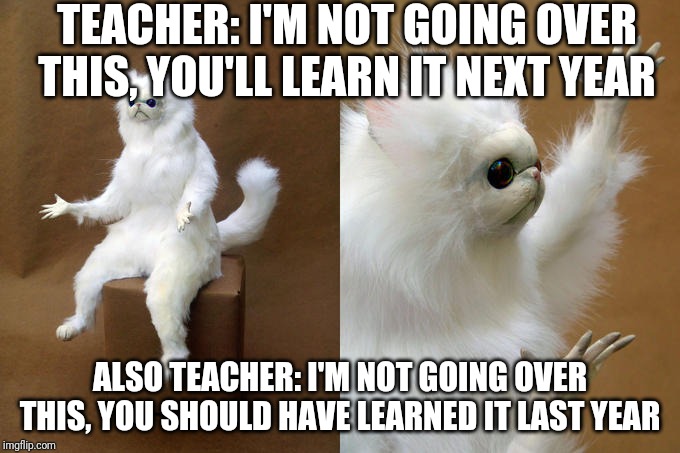 Persian Cat Room Guardian | TEACHER: I'M NOT GOING OVER THIS, YOU'LL LEARN IT NEXT YEAR; ALSO TEACHER: I'M NOT GOING OVER THIS, YOU SHOULD HAVE LEARNED IT LAST YEAR | image tagged in memes,persian cat room guardian | made w/ Imgflip meme maker