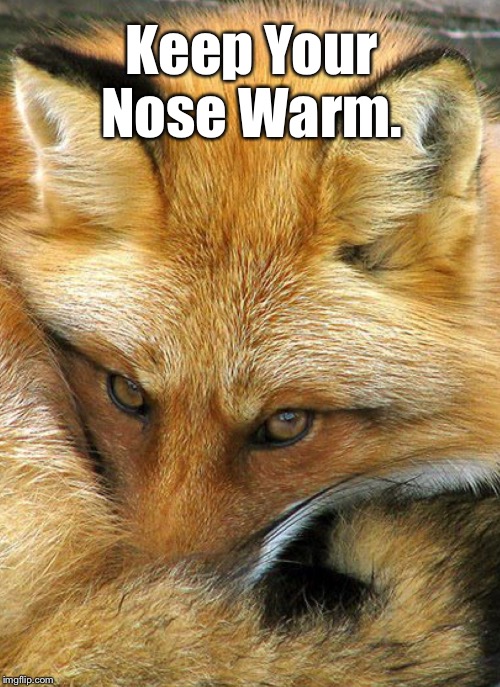 Keep Your Nose Warm. | made w/ Imgflip meme maker