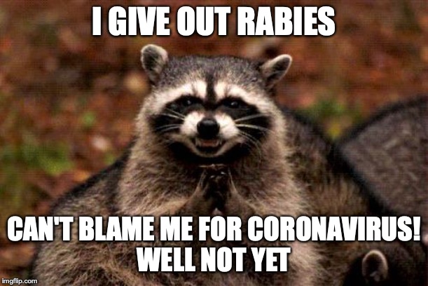 Evil Plotting Raccoon | I GIVE OUT RABIES; CAN'T BLAME ME FOR CORONAVIRUS!
WELL NOT YET | image tagged in memes,evil plotting raccoon,coronavirus,funny memes | made w/ Imgflip meme maker