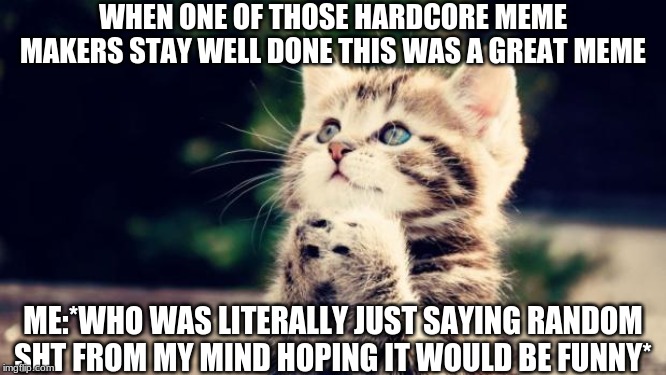 Cute kitten | WHEN ONE OF THOSE HARDCORE MEME MAKERS STAY WELL DONE THIS WAS A GREAT MEME; ME:*WHO WAS LITERALLY JUST SAYING RANDOM SHT FROM MY MIND HOPING IT WOULD BE FUNNY* | image tagged in cute kitten | made w/ Imgflip meme maker