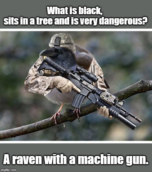 Very dangerous | What is black, 
sits in a tree and is very dangerous? A raven with a machine gun. | image tagged in funny | made w/ Imgflip meme maker