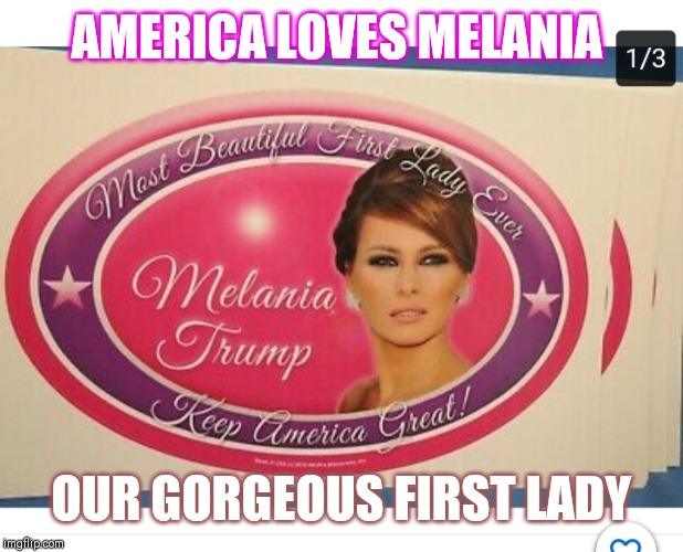 VOTE TRUMP/VOTE REPUBLICAN/LANDSLIDE 2020 | AMERICA LOVES MELANIA; OUR GORGEOUS FIRST LADY | image tagged in first lady,melania trump,beautiful woman,gorgeous | made w/ Imgflip meme maker