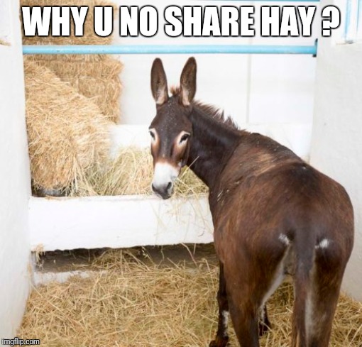 WHY U NO SHARE HAY ? | made w/ Imgflip meme maker