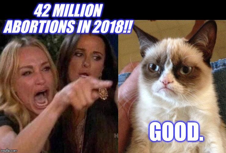 Woman Yelling at Grumpy Cat | 42 MILLION ABORTIONS IN 2018!! GOOD. | image tagged in woman yelling at grumpy cat | made w/ Imgflip meme maker