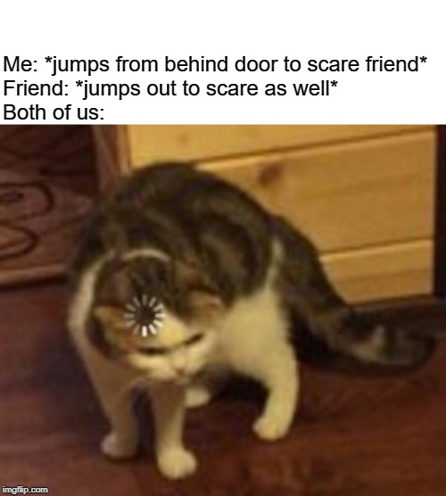 Me: *jumps from behind door to scare friend*
Friend: *jumps out to scare as well*
Both of us: | image tagged in blank white template,loading cat | made w/ Imgflip meme maker