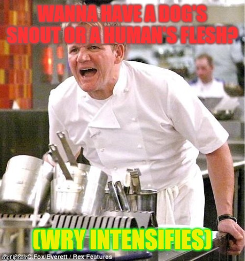 Chef Gordon Ramsay | WANNA HAVE A DOG'S SNOUT OR A HUMAN'S FLESH? (WRY INTENSIFIES) | image tagged in memes,chef gordon ramsay | made w/ Imgflip meme maker