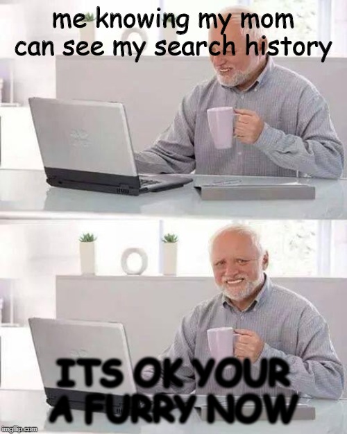 Hide the Pain Harold | me knowing my mom can see my search history; ITS OK YOUR A FURRY NOW | image tagged in memes,hide the pain harold | made w/ Imgflip meme maker