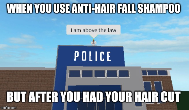 I am above the law | WHEN YOU USE ANTI-HAIR FALL SHAMPOO; BUT AFTER YOU HAD YOUR HAIR CUT | image tagged in i am above the law | made w/ Imgflip meme maker