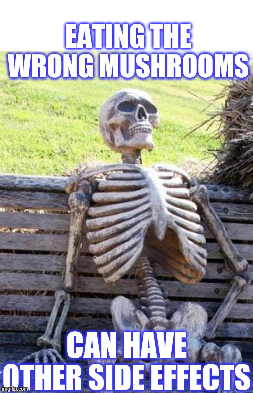Waiting Skeleton Meme | EATING THE WRONG MUSHROOMS CAN HAVE OTHER SIDE EFFECTS | image tagged in memes,waiting skeleton | made w/ Imgflip meme maker