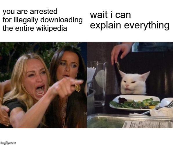Woman Yelling At Cat | you are arrested for illegally downloading the entire wikipedia; wait i can explain everything | image tagged in memes,woman yelling at cat | made w/ Imgflip meme maker