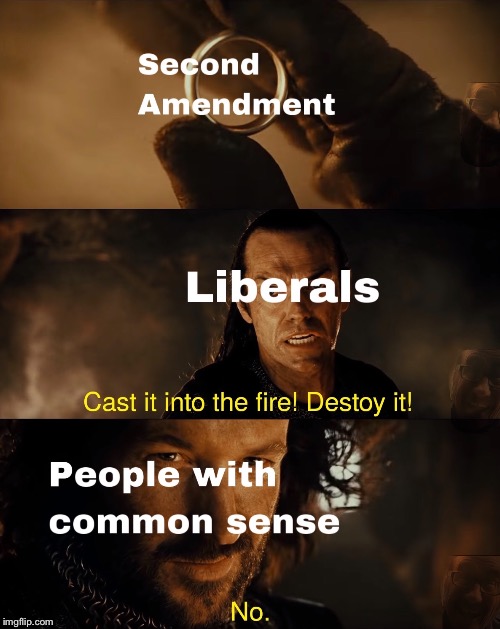 Cast it into the fire | image tagged in cast it into the fire,liberal logic,liberal | made w/ Imgflip meme maker