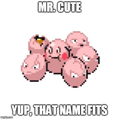 MR. CUTE; YUP, THAT NAME FITS | made w/ Imgflip meme maker