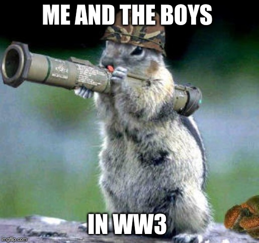 Bazooka Squirrel Meme | ME AND THE BOYS; IN WW3 | image tagged in memes,bazooka squirrel | made w/ Imgflip meme maker