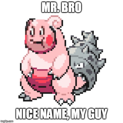 MR. BRO; NICE NAME, MY GUY | made w/ Imgflip meme maker