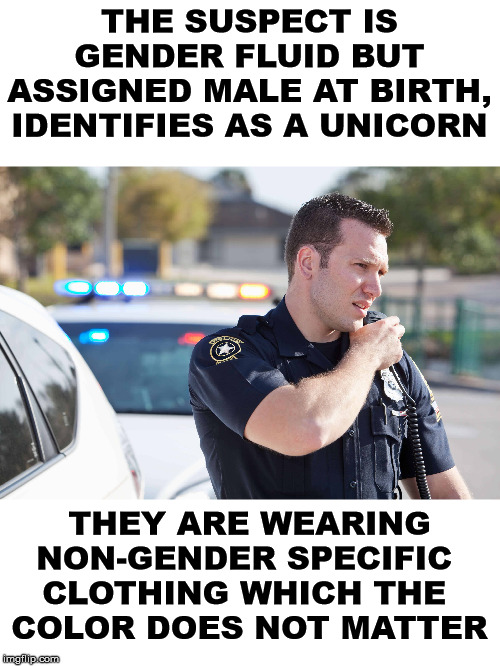 The police in Seattle or San Francisco be like ... | THE SUSPECT IS GENDER FLUID BUT ASSIGNED MALE AT BIRTH, IDENTIFIES AS A UNICORN; THEY ARE WEARING
NON-GENDER SPECIFIC 
CLOTHING WHICH THE 
COLOR DOES NOT MATTER | image tagged in police,gender identity | made w/ Imgflip meme maker