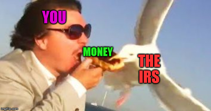 Stealing from you | YOU; THE IRS; MONEY | image tagged in swiping seagull | made w/ Imgflip meme maker