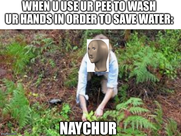 I am finally one with naychur | WHEN U USE UR PEE TO WASH UR HANDS IN ORDER TO SAVE WATER:; NAYCHUR | image tagged in meme man | made w/ Imgflip meme maker