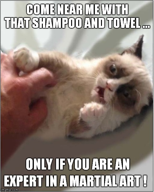 Grumpys Bath Time Warning | COME NEAR ME WITH THAT SHAMPOO AND TOWEL ... EXPERT IN A MARTIAL ART ! ONLY IF YOU ARE AN | image tagged in fun,grumpy cat,bath,martial arts | made w/ Imgflip meme maker