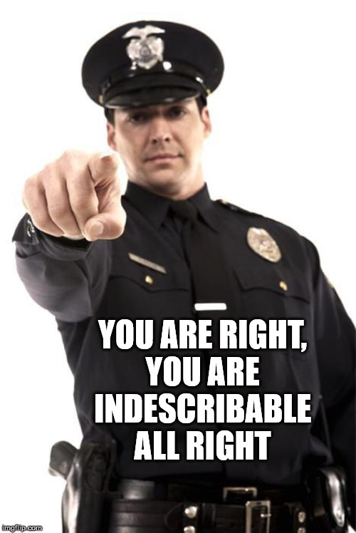 Police | YOU ARE RIGHT, 
YOU ARE 
INDESCRIBABLE 
ALL RIGHT | image tagged in police | made w/ Imgflip meme maker