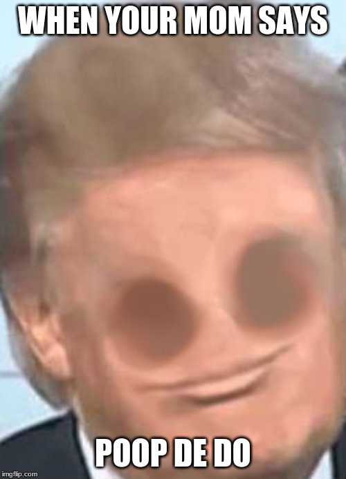 Derp Trump | WHEN YOUR MOM SAYS; POOP DE DO | image tagged in derp trump | made w/ Imgflip meme maker