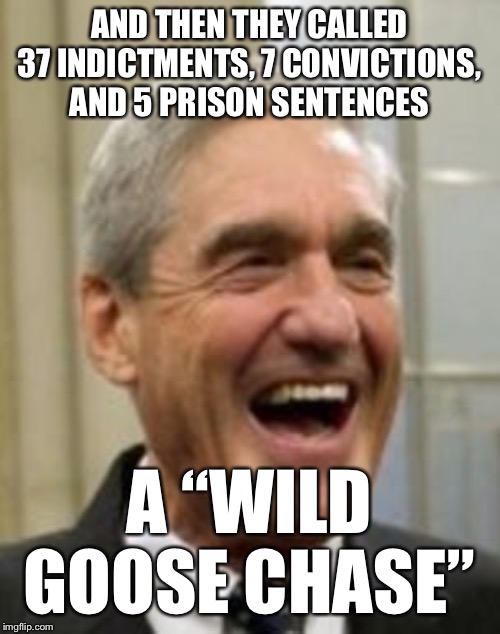 Self-explanatory. | AND THEN THEY CALLED 37 INDICTMENTS, 7 CONVICTIONS, AND 5 PRISON SENTENCES; A “WILD GOOSE CHASE” | image tagged in mueller laughing | made w/ Imgflip meme maker