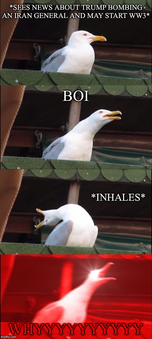 Inhaling Seagull | *SEES NEWS ABOUT TRUMP BOMBING AN IRAN GENERAL AND MAY START WW3*; BOI; *INHALES*; WHYYYYYYYYYY | image tagged in memes,inhaling seagull | made w/ Imgflip meme maker