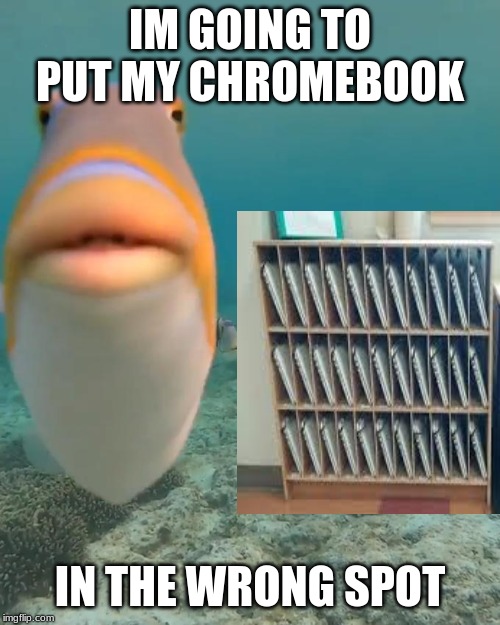 bruh | IM GOING TO PUT MY CHROMEBOOK; IN THE WRONG SPOT | image tagged in staring fish,funny,funny memes,fish,weird | made w/ Imgflip meme maker