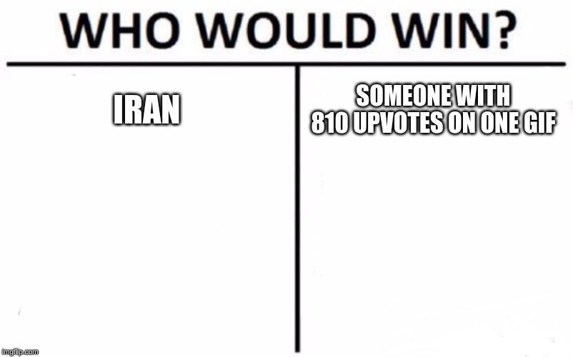 Who Would Win? Meme | IRAN SOMEONE WITH 810 UPVOTES ON ONE GIF | image tagged in memes,who would win | made w/ Imgflip meme maker