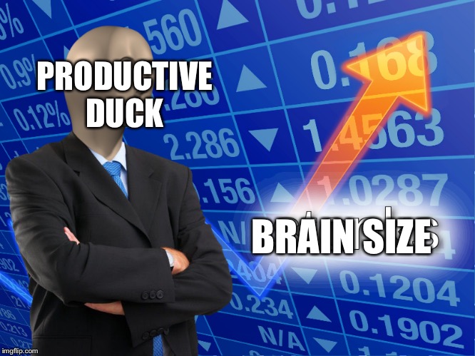 stonks | BRAIN SIZE PRODUCTIVE DUCK | image tagged in stonks | made w/ Imgflip meme maker