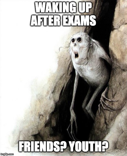 cave meme | WAKING UP AFTER EXAMS; FRIENDS? YOUTH? | image tagged in cave meme | made w/ Imgflip meme maker
