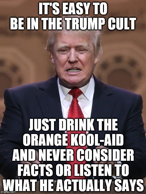 Donald Trump | IT'S EASY TO BE IN THE TRUMP CULT; JUST DRINK THE ORANGE KOOL-AID AND NEVER CONSIDER FACTS OR LISTEN TO WHAT HE ACTUALLY SAYS | image tagged in donald trump | made w/ Imgflip meme maker