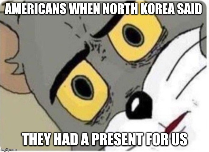 Tom and Jerry meme | AMERICANS WHEN NORTH KOREA SAID; THEY HAD A PRESENT FOR US | image tagged in tom and jerry meme | made w/ Imgflip meme maker