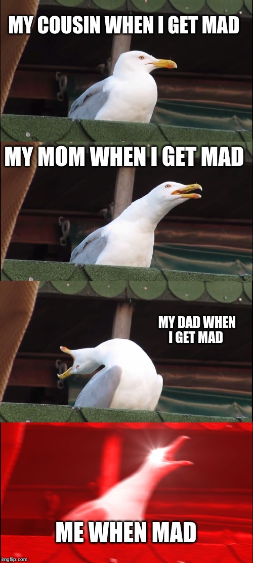 Inhaling Seagull | MY COUSIN WHEN I GET MAD; MY MOM WHEN I GET MAD; MY DAD WHEN I GET MAD; ME WHEN MAD | image tagged in memes,inhaling seagull | made w/ Imgflip meme maker
