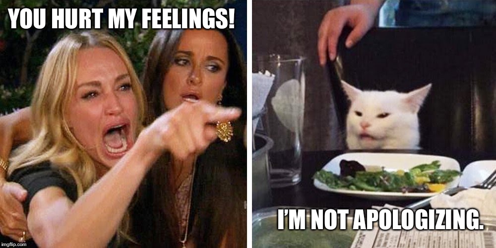 Smudge the cat | YOU HURT MY FEELINGS! I’M NOT APOLOGIZING. | image tagged in smudge the cat | made w/ Imgflip meme maker