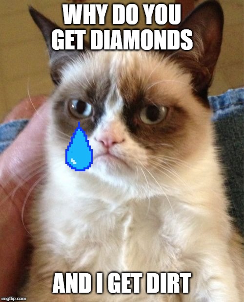 Grumpy Cat | WHY DO YOU GET DIAMONDS; AND I GET DIRT | image tagged in memes,grumpy cat | made w/ Imgflip meme maker