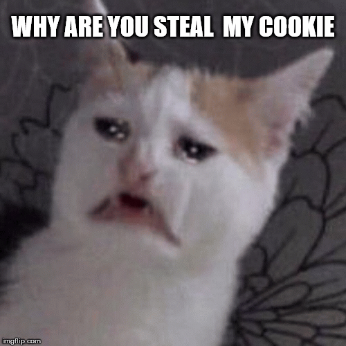 why are you steal my COOKIE | WHY ARE YOU STEAL  MY COOKIE | image tagged in gifs | made w/ Imgflip images-to-gif maker