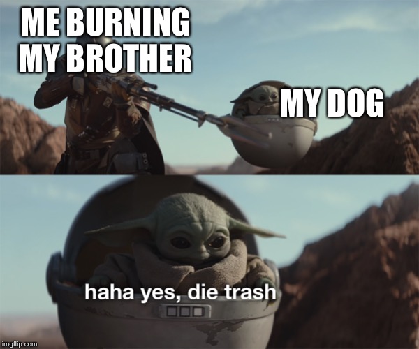 baby yoda die trash | ME BURNING MY BROTHER MY DOG | image tagged in baby yoda die trash | made w/ Imgflip meme maker