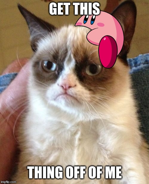 Grumpy Cat Meme | GET THIS; THING OFF OF ME | image tagged in memes,grumpy cat | made w/ Imgflip meme maker