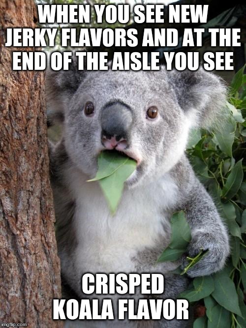 Surprised Koala | WHEN YOU SEE NEW JERKY FLAVORS AND AT THE END OF THE AISLE YOU SEE; CRISPED KOALA FLAVOR | image tagged in memes,surprised koala | made w/ Imgflip meme maker