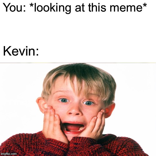 I cringe at this. | You: *looking at this meme*; Kevin: | image tagged in home alone,nobody | made w/ Imgflip meme maker