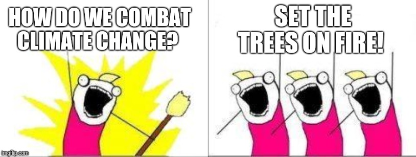 Meanwhile in Australia... | SET THE TREES ON FIRE! HOW DO WE COMBAT CLIMATE CHANGE? | image tagged in what do we want one cell | made w/ Imgflip meme maker