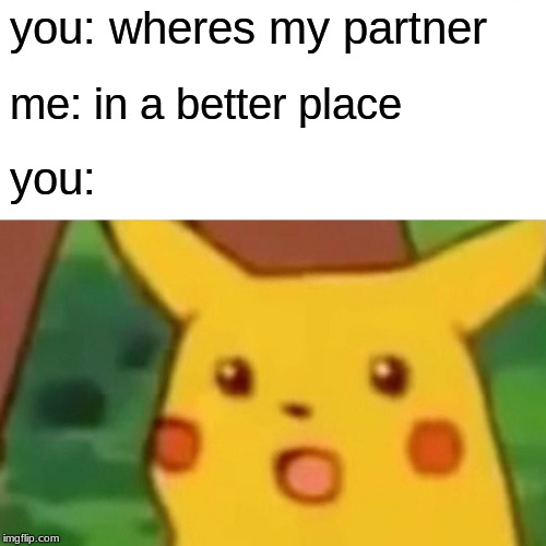 Surprised Pikachu | you: wheres my partner; me: in a better place; you: | image tagged in memes,surprised pikachu | made w/ Imgflip meme maker