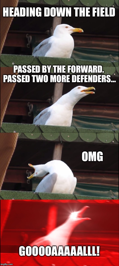 Inhaling Seagull | HEADING DOWN THE FIELD; PASSED BY THE FORWARD.  PASSED TWO MORE DEFENDERS... OMG; GOOOOAAAAALLL! | image tagged in memes,inhaling seagull | made w/ Imgflip meme maker