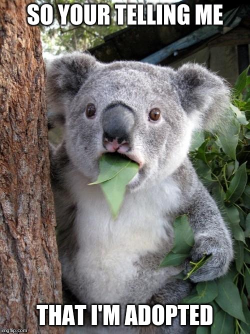 Surprised Koala Meme | SO YOUR TELLING ME; THAT I'M ADOPTED | image tagged in memes,surprised koala | made w/ Imgflip meme maker