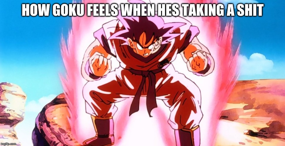 goku | HOW GOKU FEELS WHEN HES TAKING A SHIT | image tagged in pie charts | made w/ Imgflip meme maker