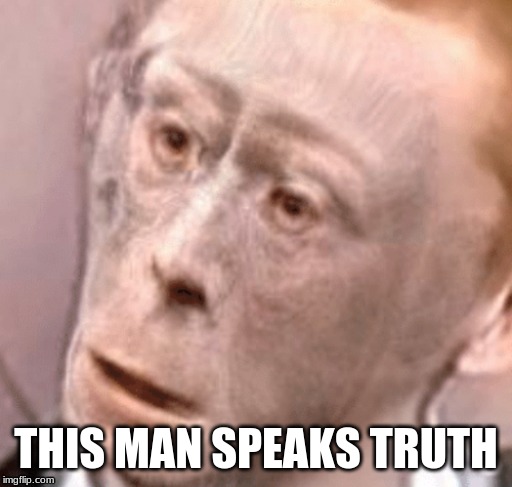 wot monkeh | THIS MAN SPEAKS TRUTH | image tagged in wot monkeh | made w/ Imgflip meme maker