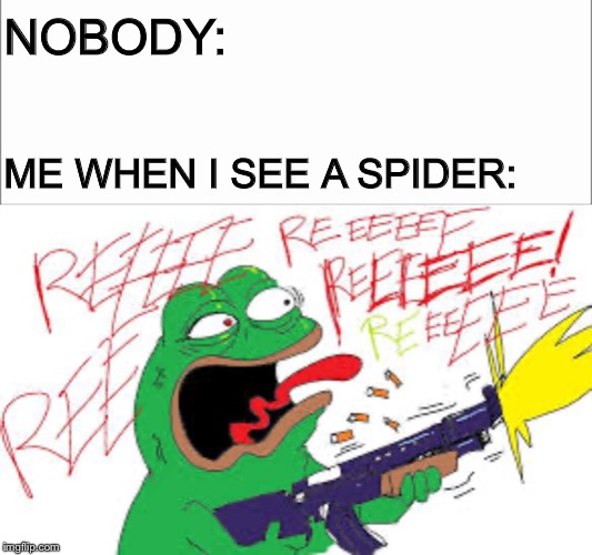 When i see a spider | NOBODY:; ME WHEN I SEE A SPIDER: | image tagged in reee,spider,oh no | made w/ Imgflip meme maker