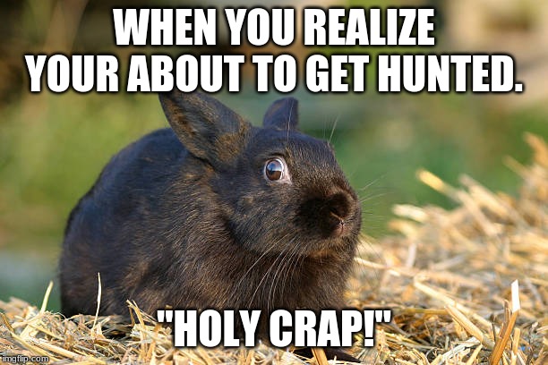 Scared Bunny | WHEN YOU REALIZE YOUR ABOUT TO GET HUNTED. "HOLY CRAP!" | image tagged in scared bunny | made w/ Imgflip meme maker
